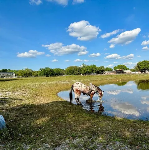 a lake view with a beach