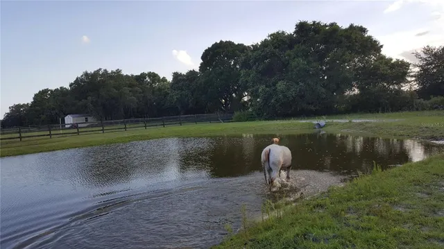 a lake view with a garden