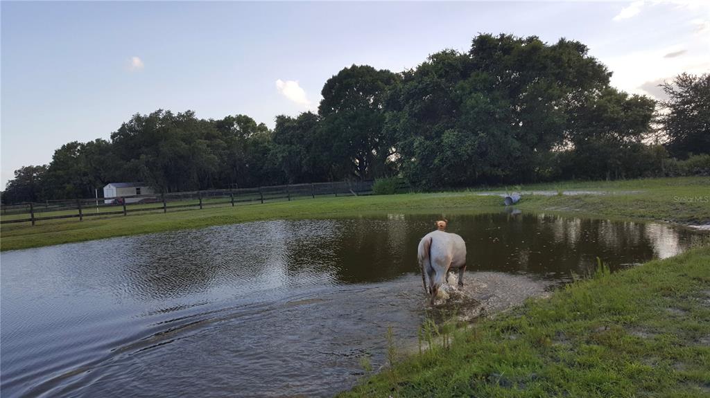 439 Corbett Road Lithia, FL 33547 - Photo 27 of 27 a lake view with a garden