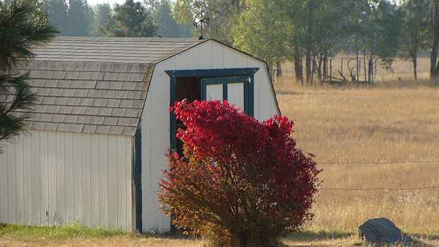 3907 West Hamilton Road Deer Park, WA 99006 - Photo 4 of 8