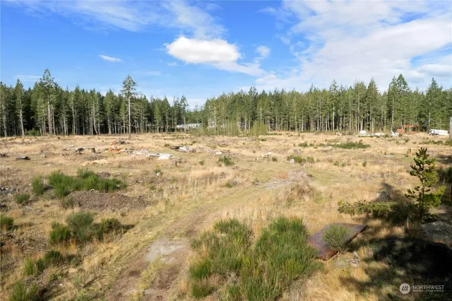 $180,000 | 111 West Bear Grass Lane, Shelton, WA 98584