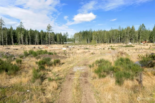 $180,000 | 111 West Bear Grass Lane, Shelton, WA 98584