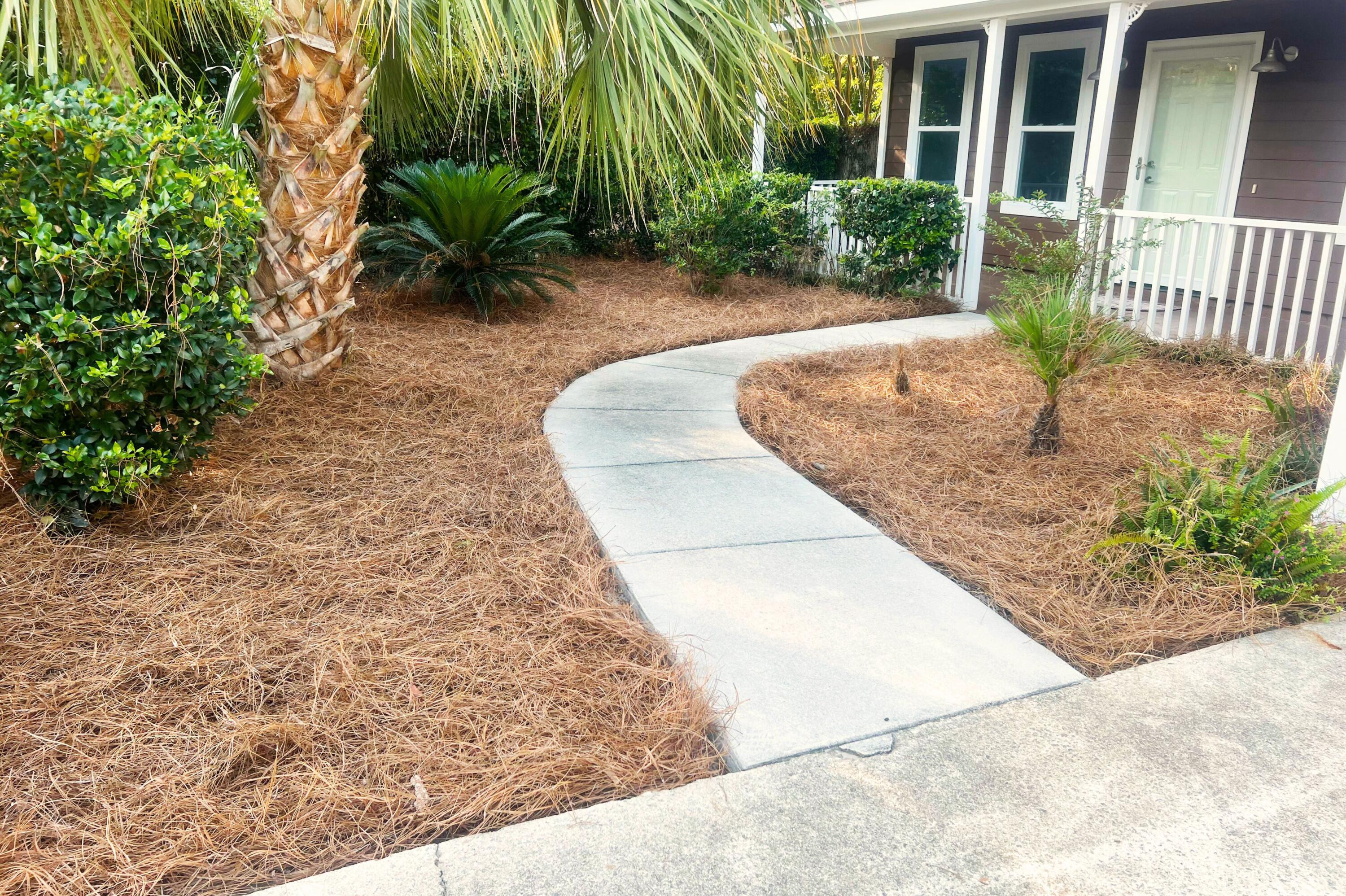 1299 Llewellyn Road Mount Pleasant, SC 29464 - Photo 2 of 29 Updated Landscaping
