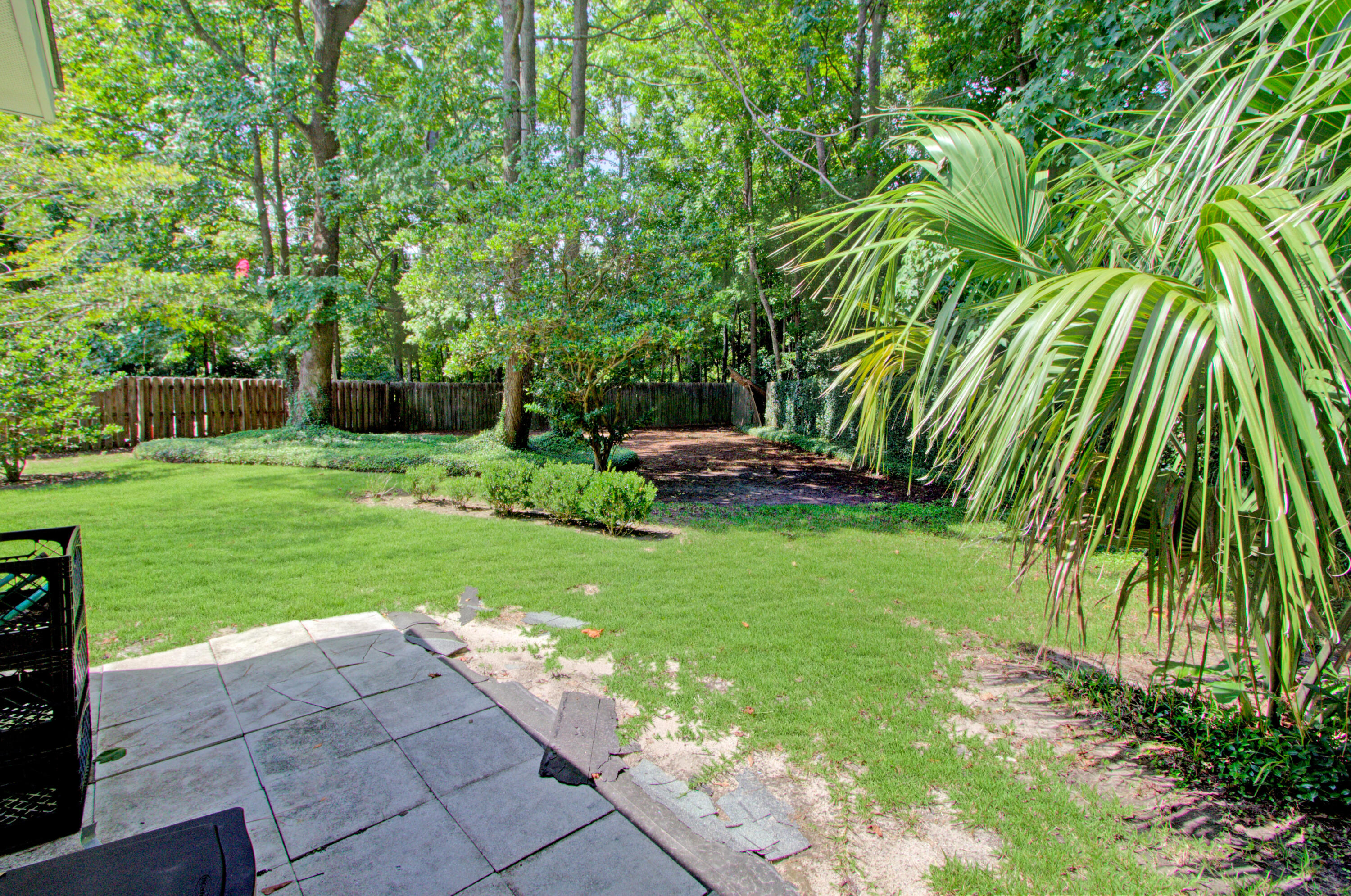 1299 Llewellyn Road Mount Pleasant, SC 29464 - Photo 22 of 29 Wonderful Shade Trees