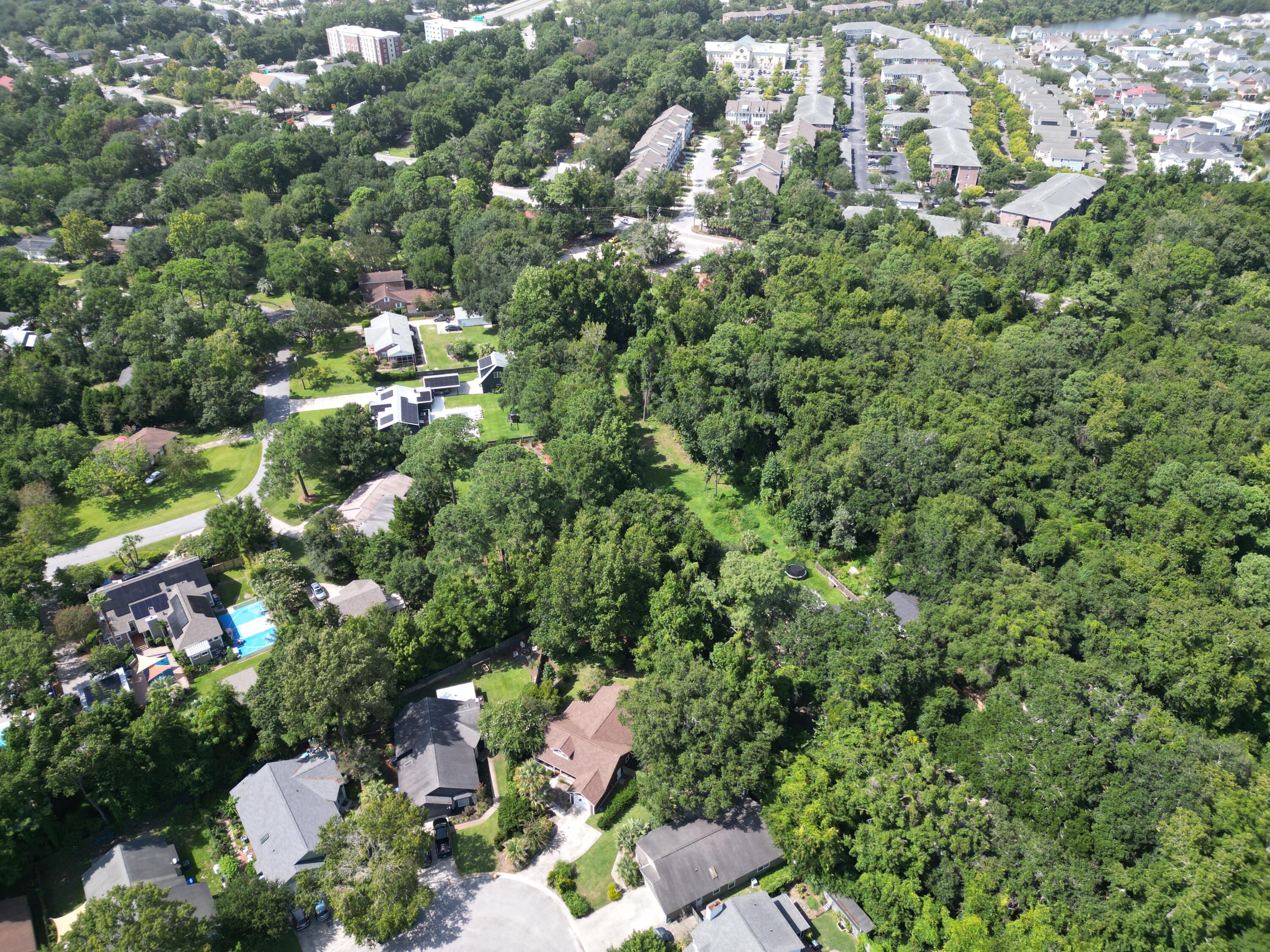 1299 Llewellyn Road Mount Pleasant, SC 29464 - Photo 25 of 29 DJI_0092