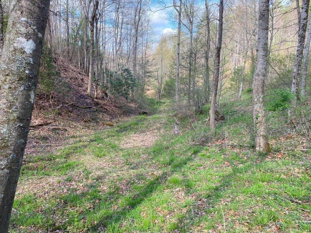 Tbd Sowers Road Northeast Floyd, VA 24091 - Photo 16 of 30 Gallery Image 16