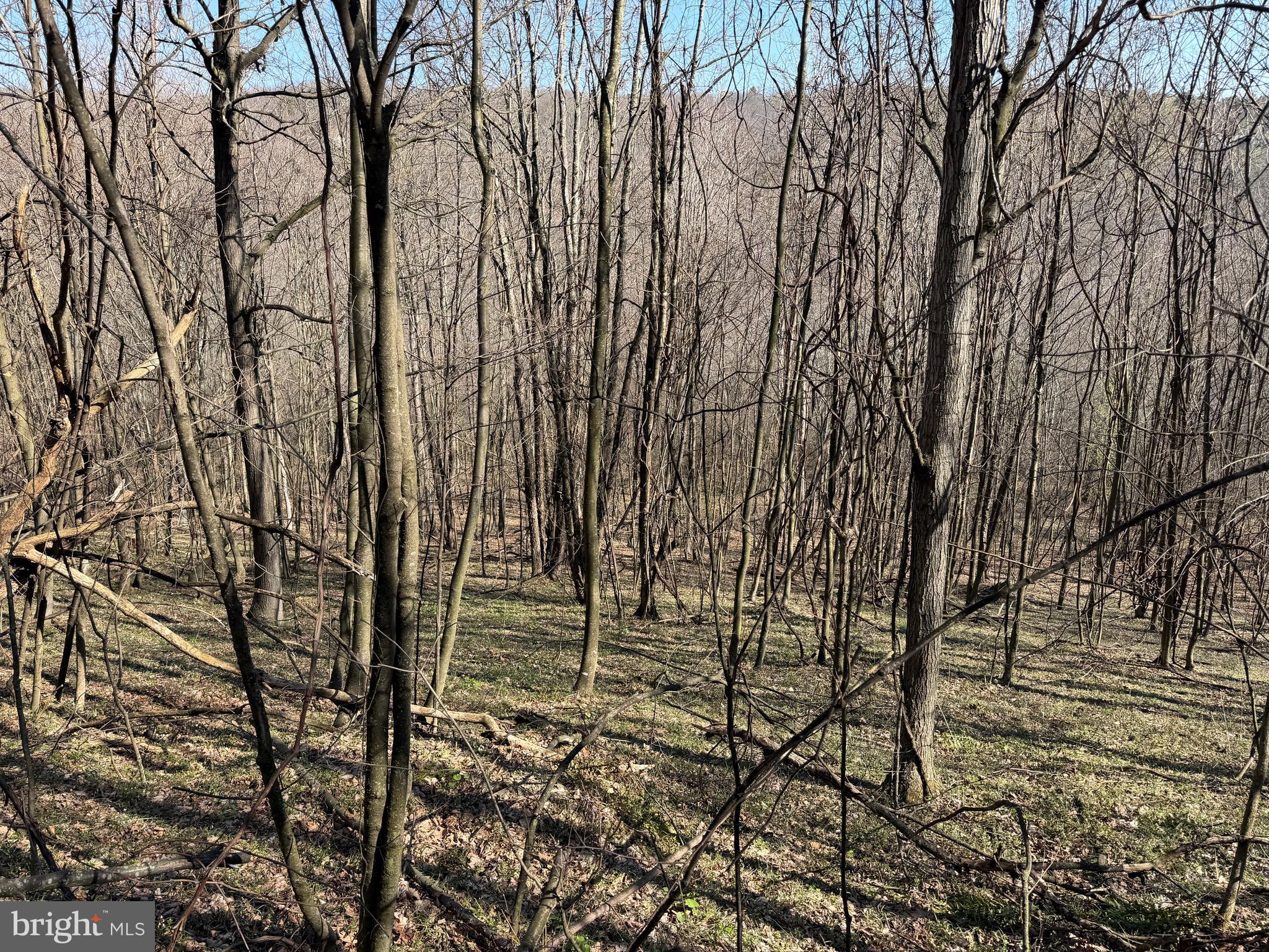 129-acres Black Hollow Road Schellsburg, PA 15559 - Photo 43 of 72
