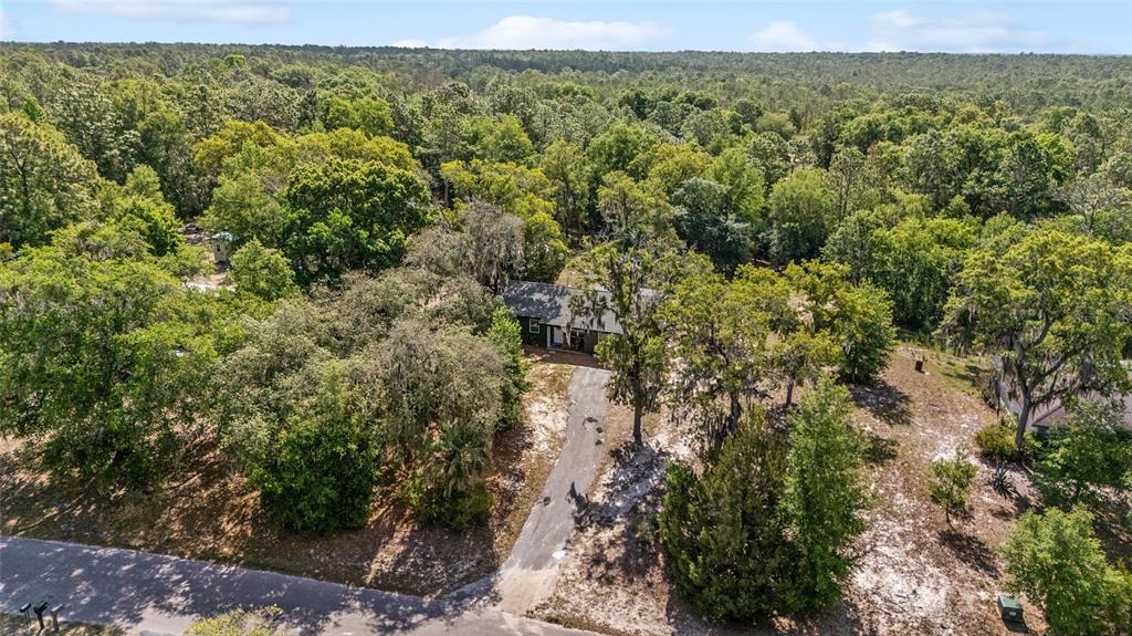 9040 Southwest 209th Circle Dunnellon, FL 34431 - Photo 46 of 55 a view of a forest with an outdoor space
