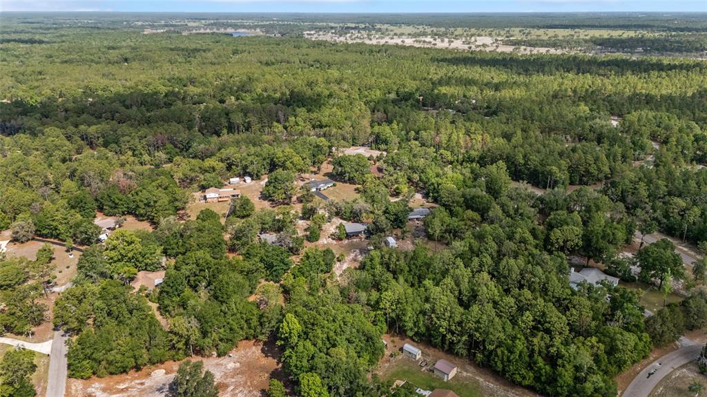9040 Southwest 209th Circle Dunnellon, FL 34431 - Photo 49 of 55 a view of a forest with a street
