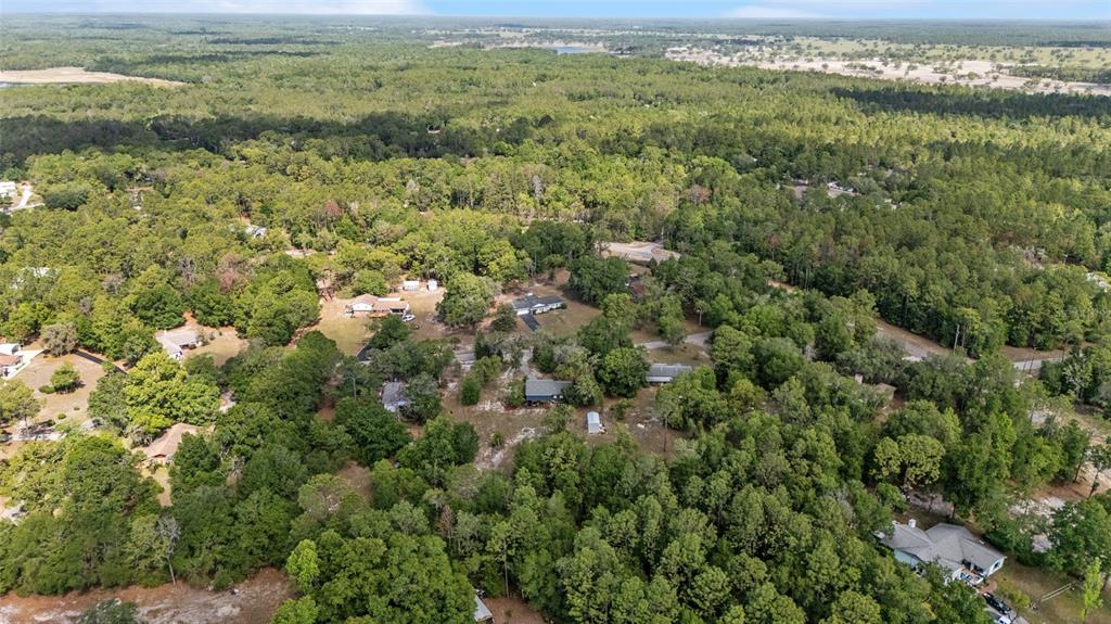 9040 Southwest 209th Circle Dunnellon, FL 34431 - Photo 50 of 55 a view of a forest with a houses