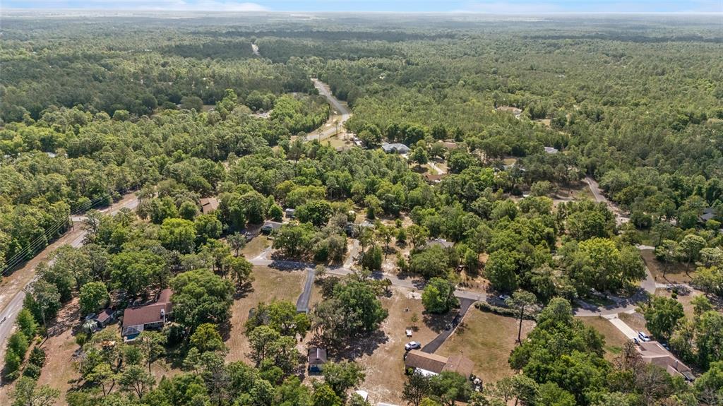9040 Southwest 209th Circle Dunnellon, FL 34431 - Photo 5 of 55 an aerial view of forest