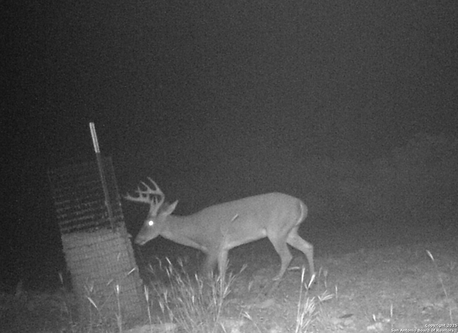 1024 SD 63005 Del Rio, TX 78840 - Photo 26 of 33