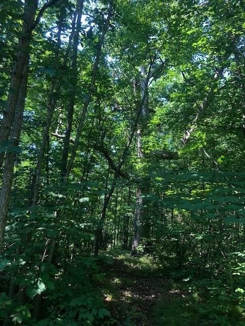 South Lapeer Road Lapeer, MI 48446 - Photo 4 of 4