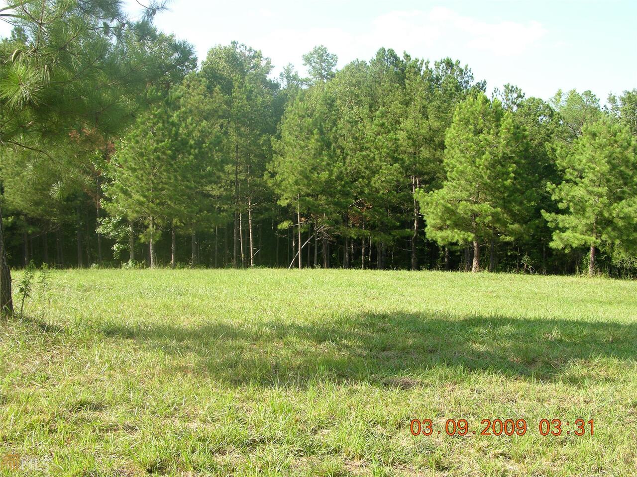 3650 Spears Road Madison, GA 30650 - Photo 1 of 1 a view of a grassy field with trees in the background