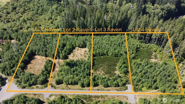 $90,000 | 9999 King Johns-lot 1 Raven Sp Way Forks, Forks, WA 98331