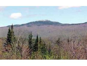 1165 Razor Hill Road Grafton, NH 03240 - Photo 3 of 3