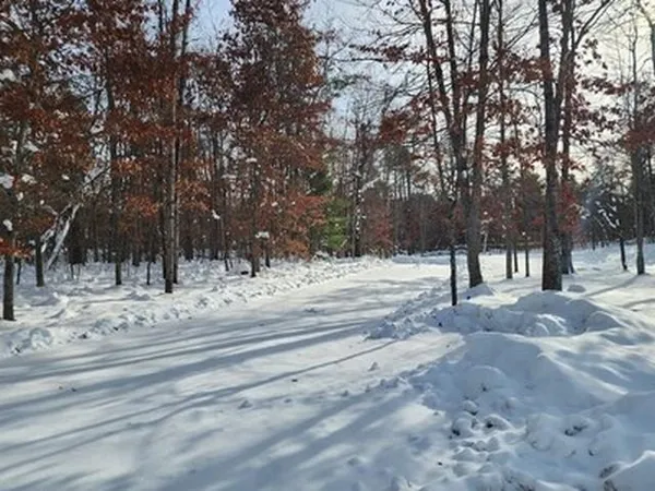 $11,000 | 10775 Pocahontas Trail, Roscommon, MI 48653