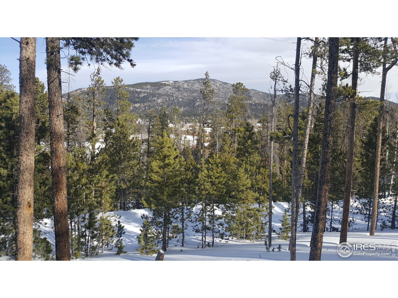 576 Huron Road Red Feather Lakes, CO 80545 - Photo 1 of 14 Gallery Image 1