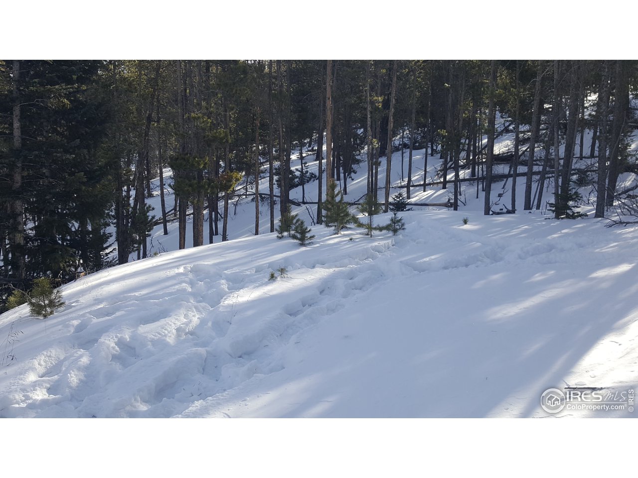 576 Huron Road Red Feather Lakes, CO 80545 - Photo 11 of 14 Gallery Image 11