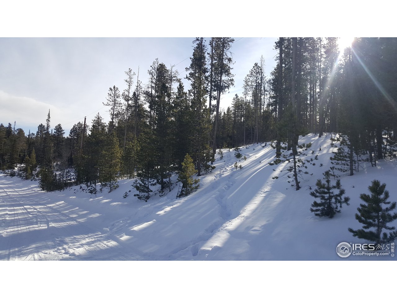 576 Huron Road Red Feather Lakes, CO 80545 - Photo 10 of 14 Gallery Image 10