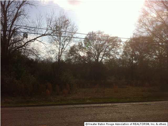 416 Cockerham Road Denham Springs, LA 70726 - Photo 3 of 13 Gallery Image 3