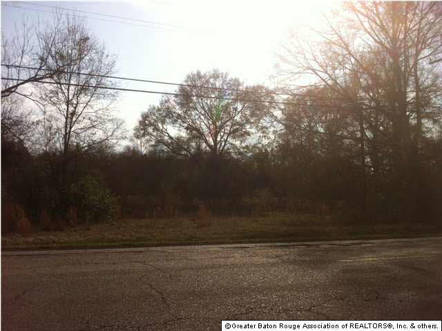 416 Cockerham Road Denham Springs, LA 70726 - Photo 4 of 13 Gallery Image 4
