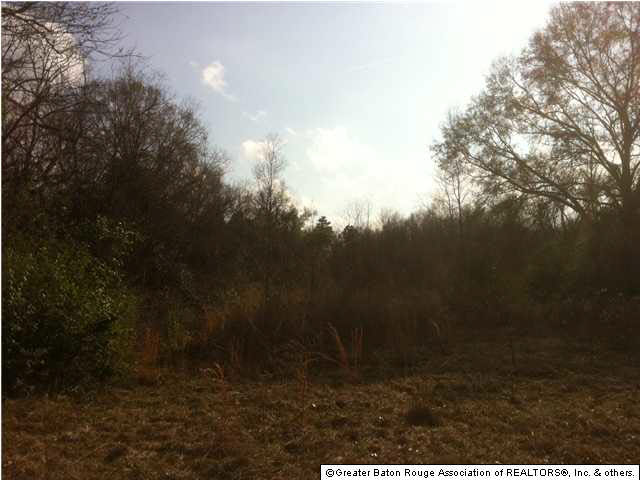 416 Cockerham Road Denham Springs, LA 70726 - Photo 7 of 13 Gallery Image 7