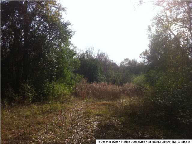 416 Cockerham Road Denham Springs, LA 70726 - Photo 10 of 13 Gallery Image 10