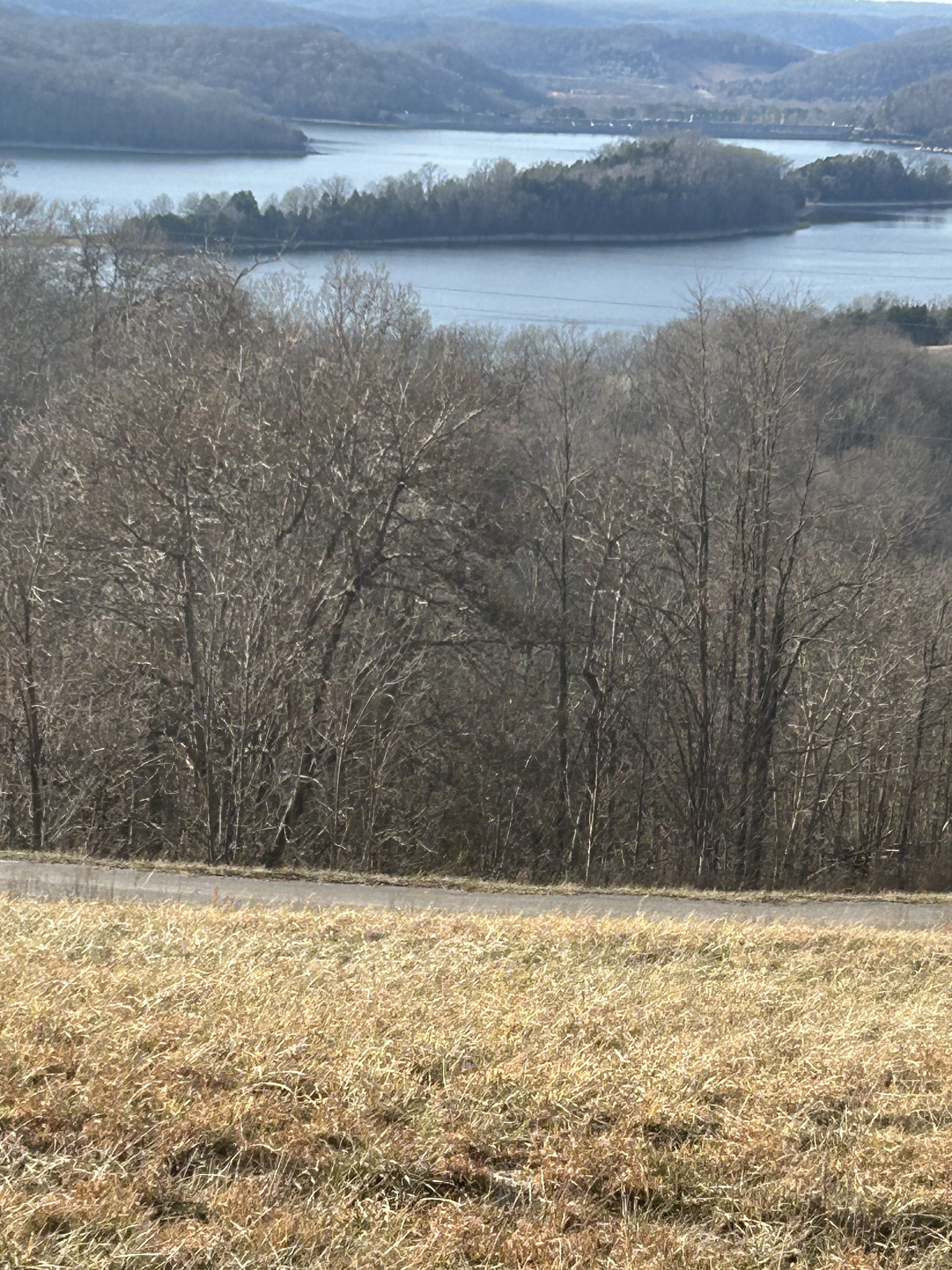49 C Mallard Road Celina, TN 38551 - Photo 26 of 29 a view of yard