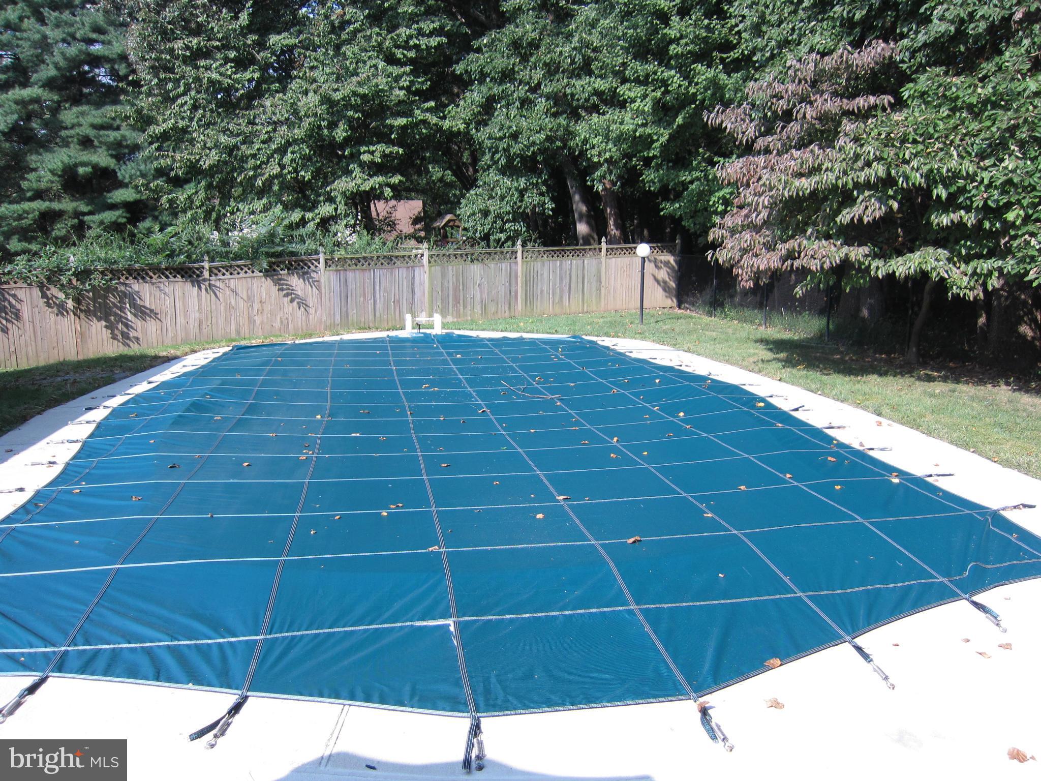 15212 Winstead Lane Silver Spring, MD 20905 - Photo 29 of 30 Inground Anthony pool/new cover