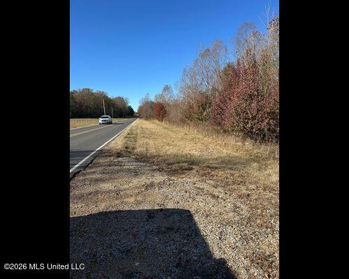 Cayce Road Byhalia, MS 38611 - Photo 5 of 35 IMG_0830