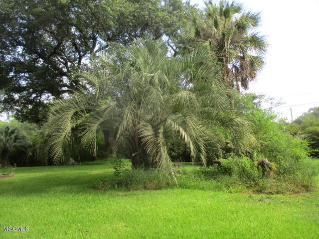 3800 Manchester Road Moss Point, MS 39562 - Photo 22 of 25 Manchester 8-2 012