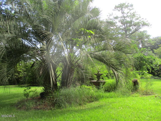 3800 Manchester Road Moss Point, MS 39562 - Photo 23 of 25 Manchester 8-2 013