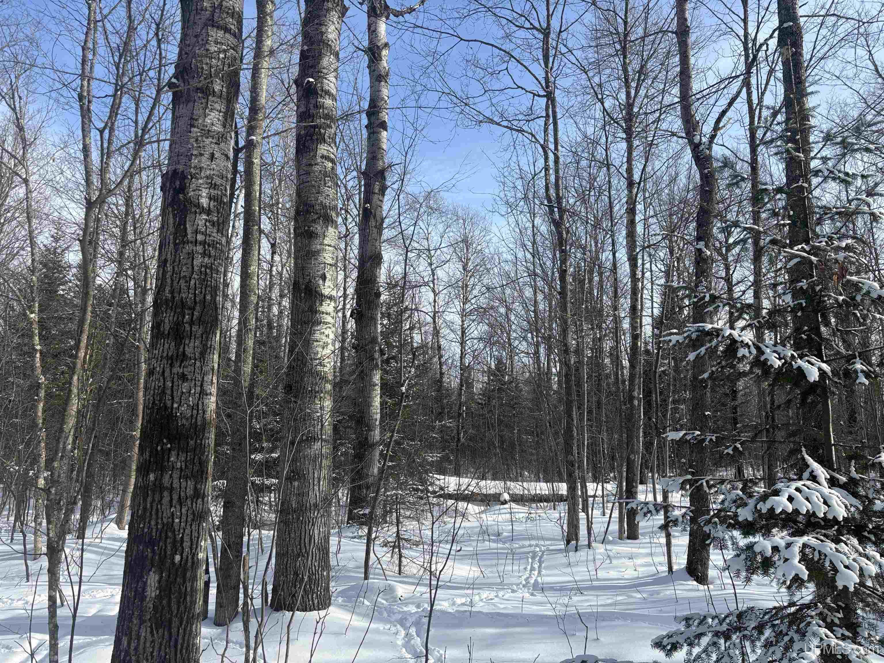 Tbd South Barber Road Bessemer, MI 49911 - Photo 15 of 38 Gallery Image 15