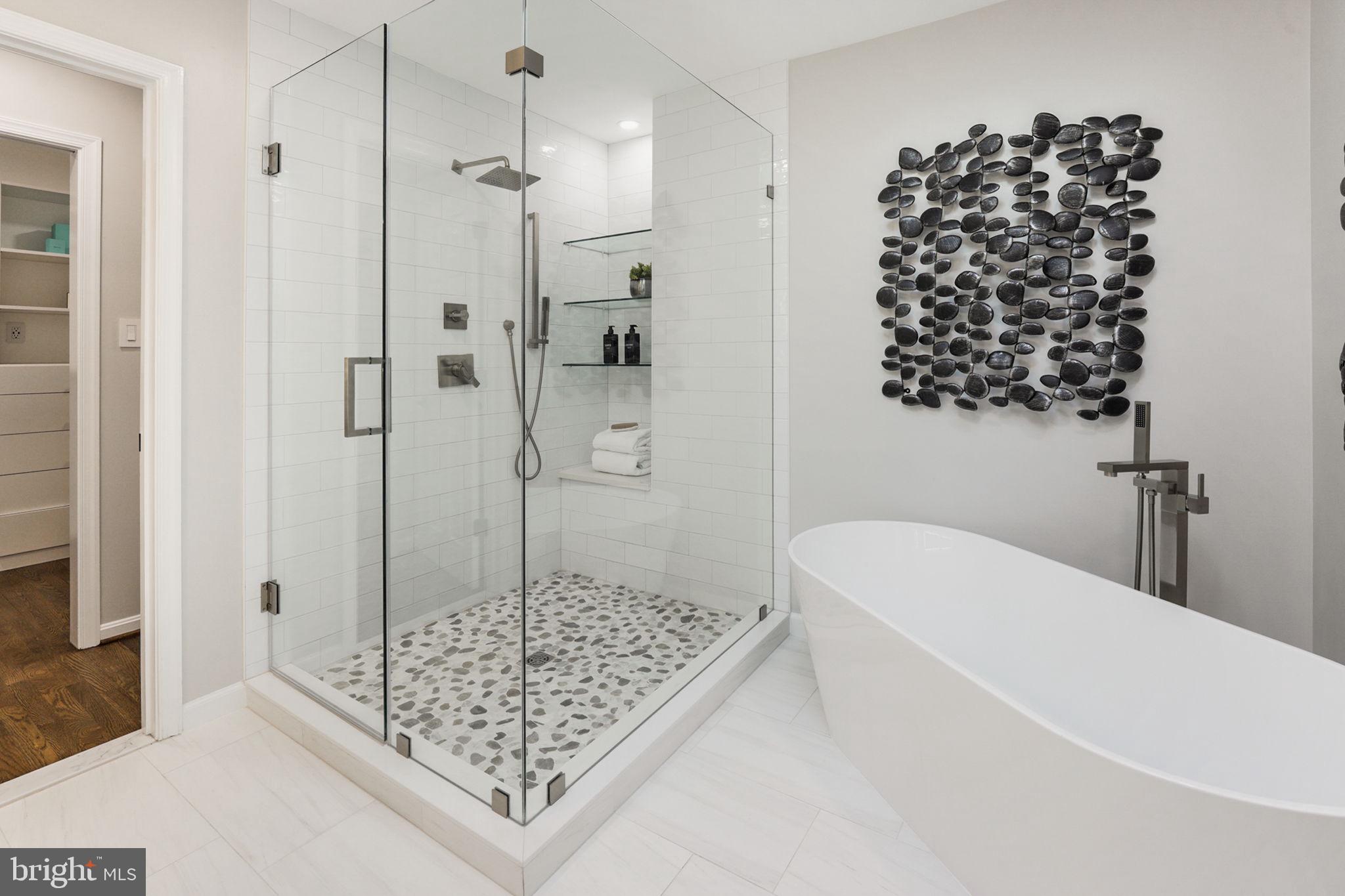 1288 Golden Eagle Drive Reston, VA 20194 - Photo 12 of 77 Primary Shower and Tub