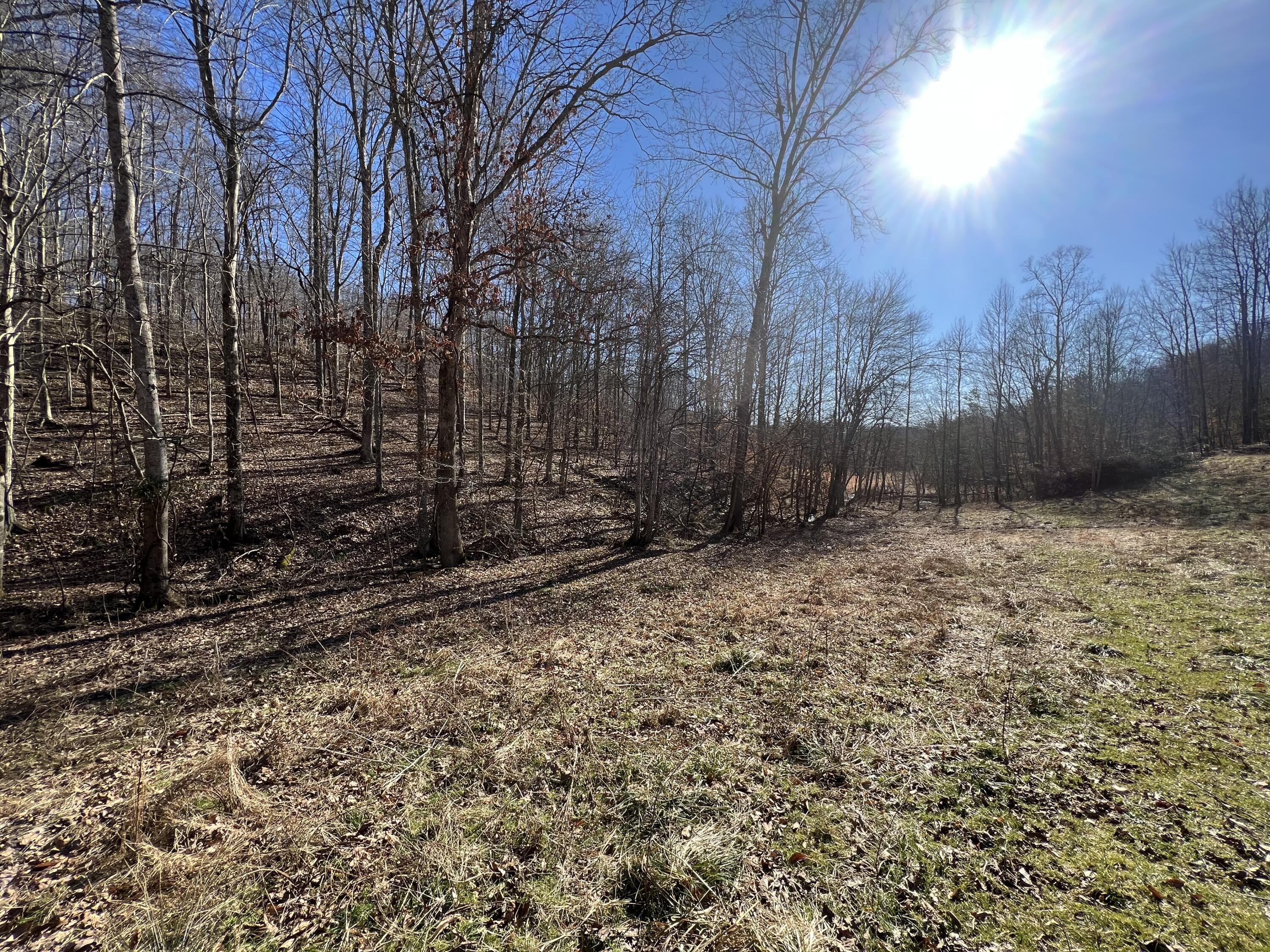 406 Harrod Branch Road London, KY 40741 - Photo 23 of 27 1C76BD77-A2AF-4AB9-9A05-BD1568B464E7