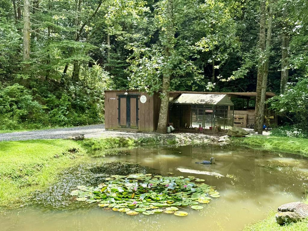 210 Pendergrass Road Marble, NC 28905 - Photo 62 of 71