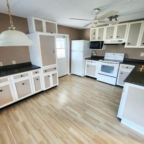 a view of a yard with plants