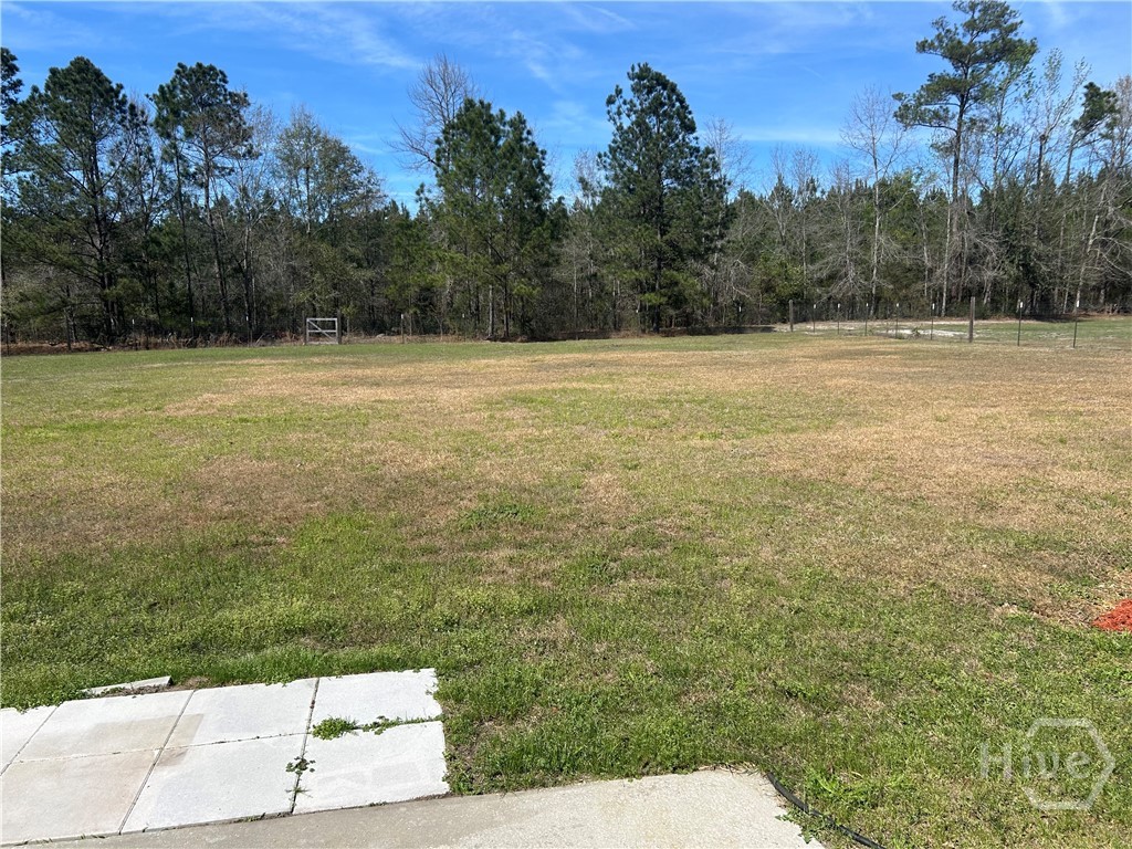 103 Ellis Drive Rincon, GA 31326 - Photo 14 of 15 almost one acre lot