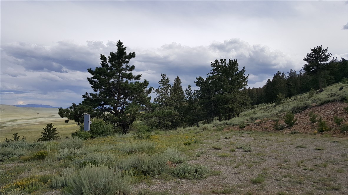 Lot 488 Redhill Road Fairplay, CO 80440 - Photo 34 of 35 Gallery Image 34