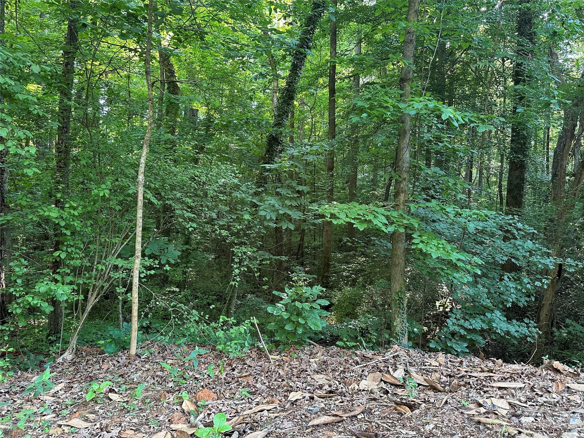 0 Briarcliff Road Rockwell, NC 28138 - Photo 22 of 25