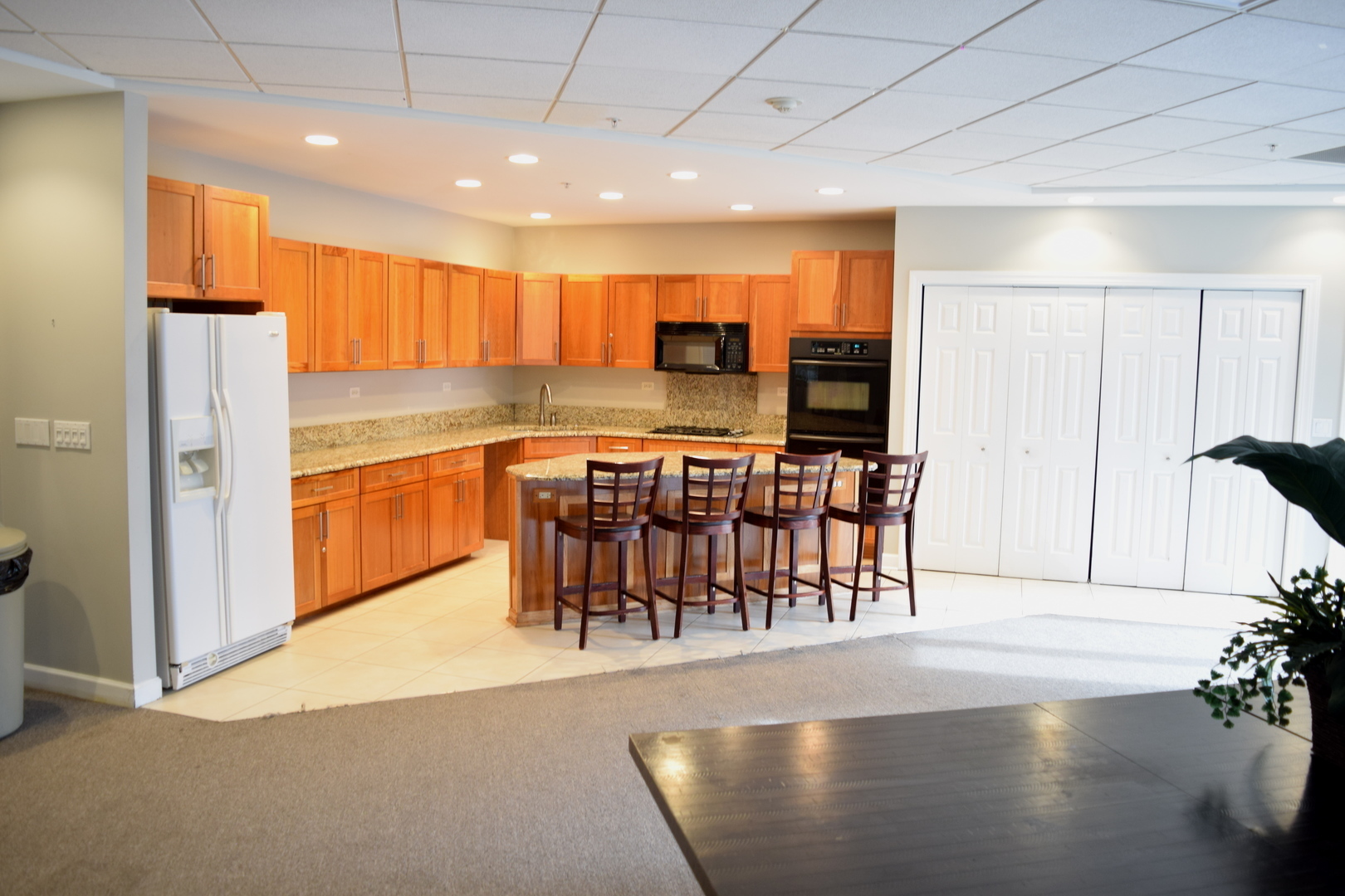 1 Renaissance Place, Unit 207 Palatine, IL 60067 - Photo 16 of 17