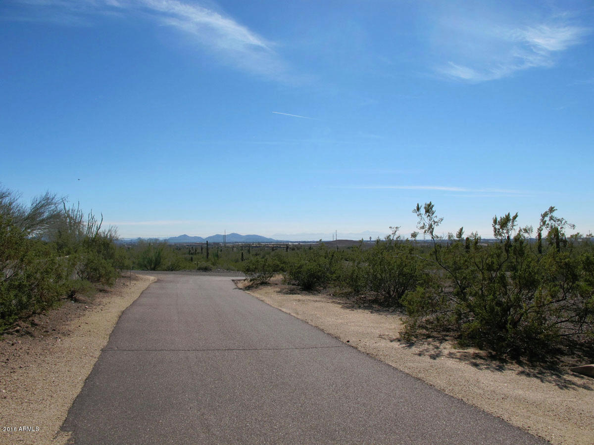 218 East Yearling Road Phoenix, AZ 85085 - Photo 54 of 54 Driveway View Toward City