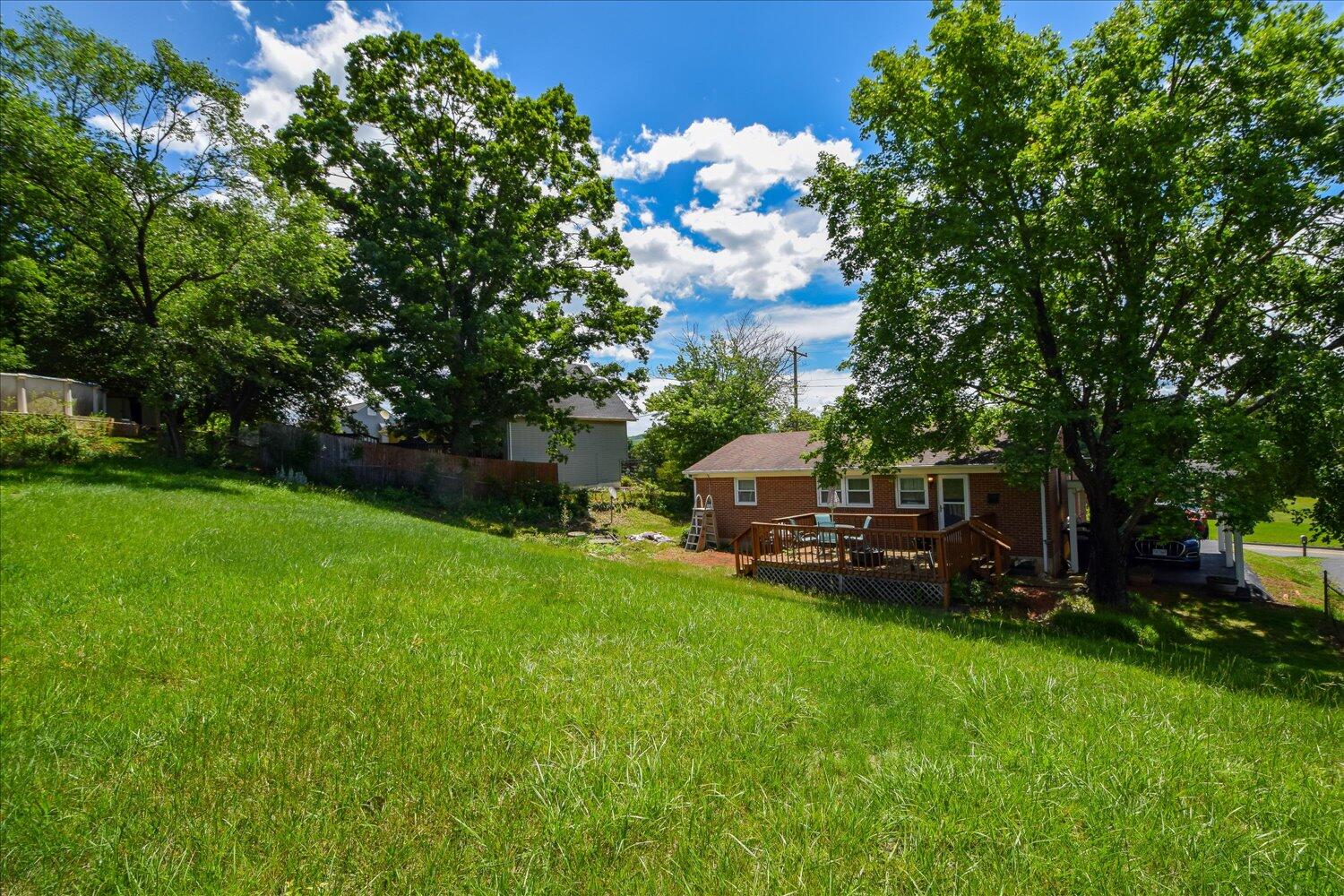1518 Mountain View Road Vinton, VA 24179 - Photo 20 of 25 a small garden covered with tall trees