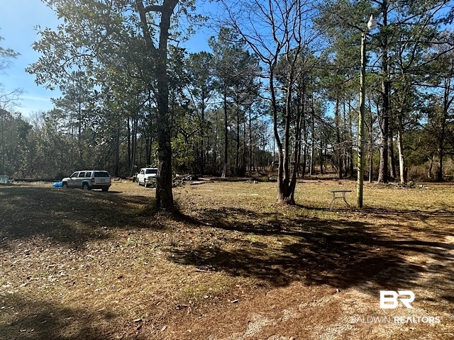 17245 County Road 87 Elberta, AL 36530 - Photo 4 of 11