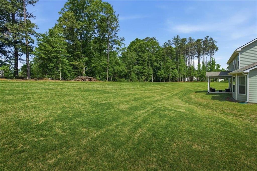 2 White Pond Road Moreland, GA 30259 - Photo 52 of 60