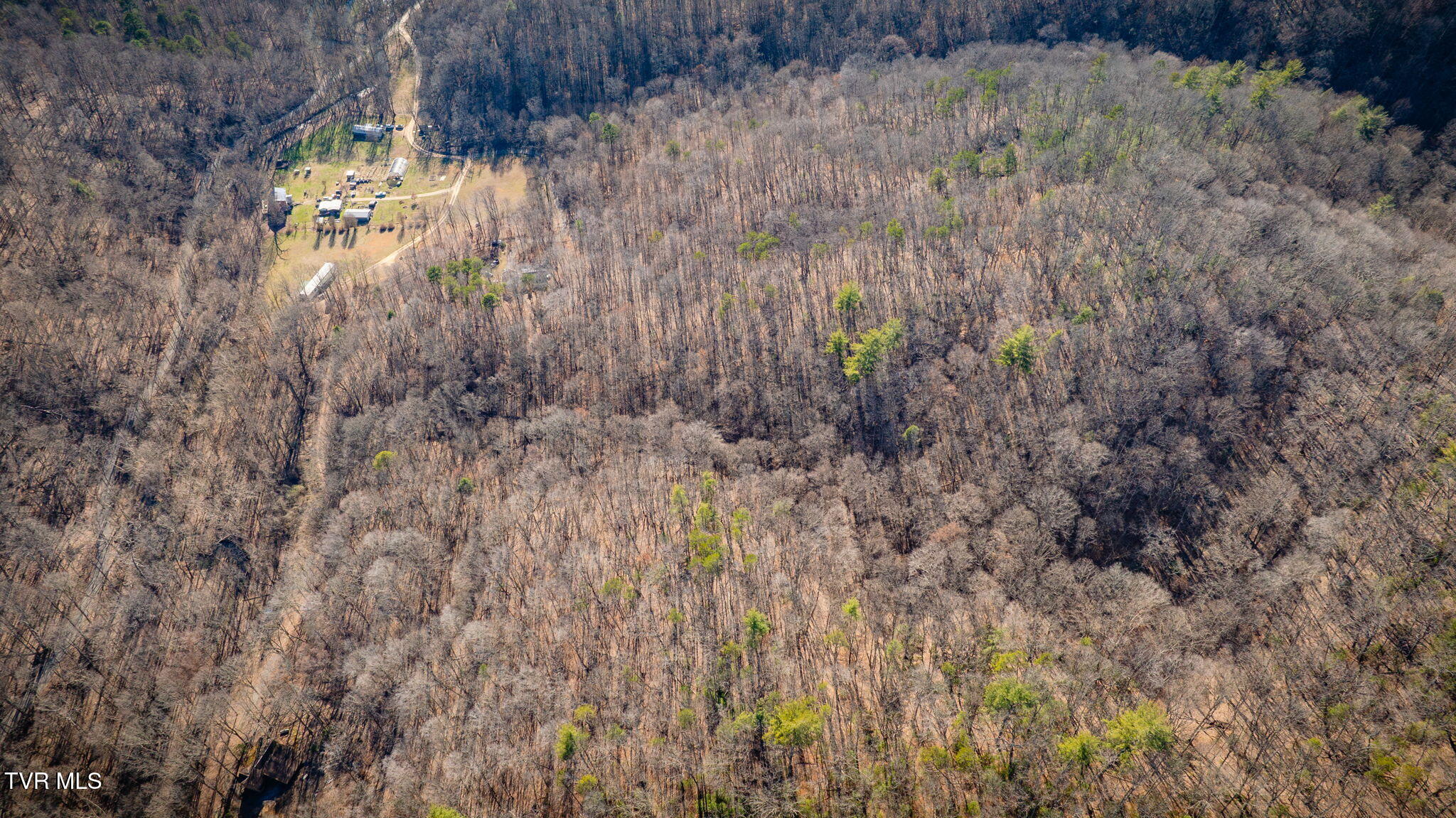 Tbd Long Creek Road, Unit 3 & 4 Del Rio, TN 37727 - Photo 11 of 26 007