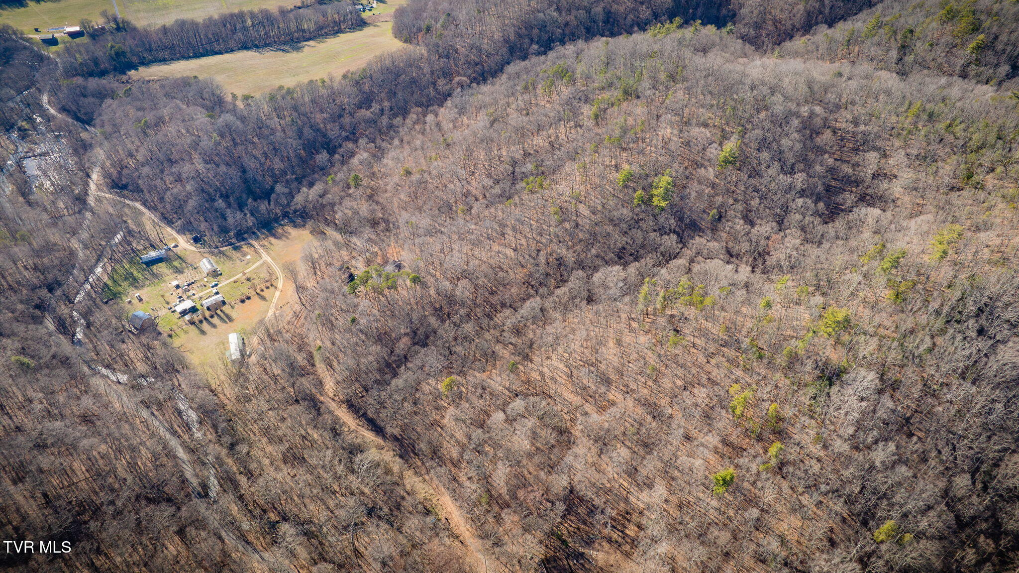 Tbd Long Creek Road, Unit 3 & 4 Del Rio, TN 37727 - Photo 12 of 26 008