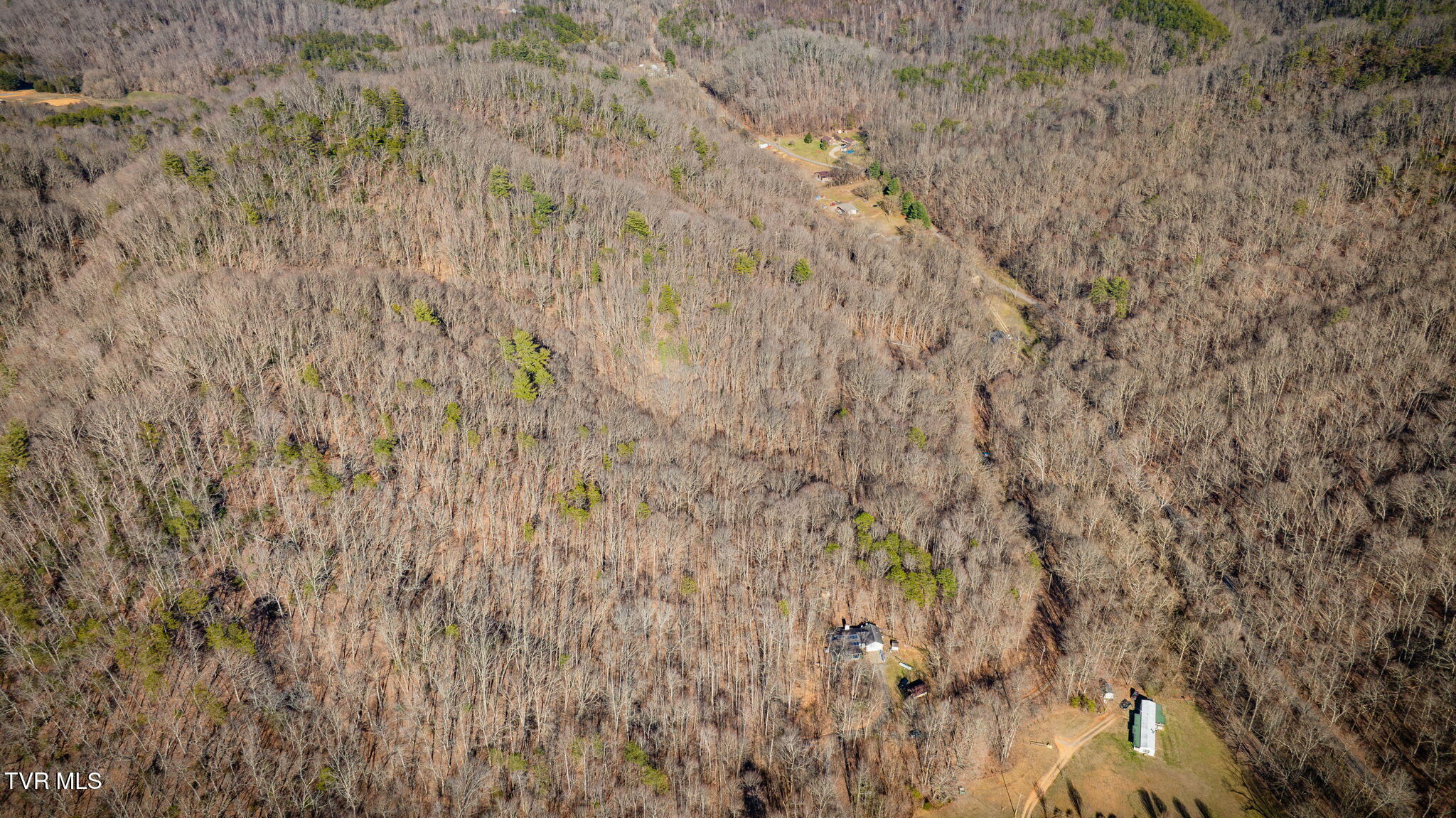 Tbd Long Creek Road, Unit 3 & 4 Del Rio, TN 37727 - Photo 24 of 26 003