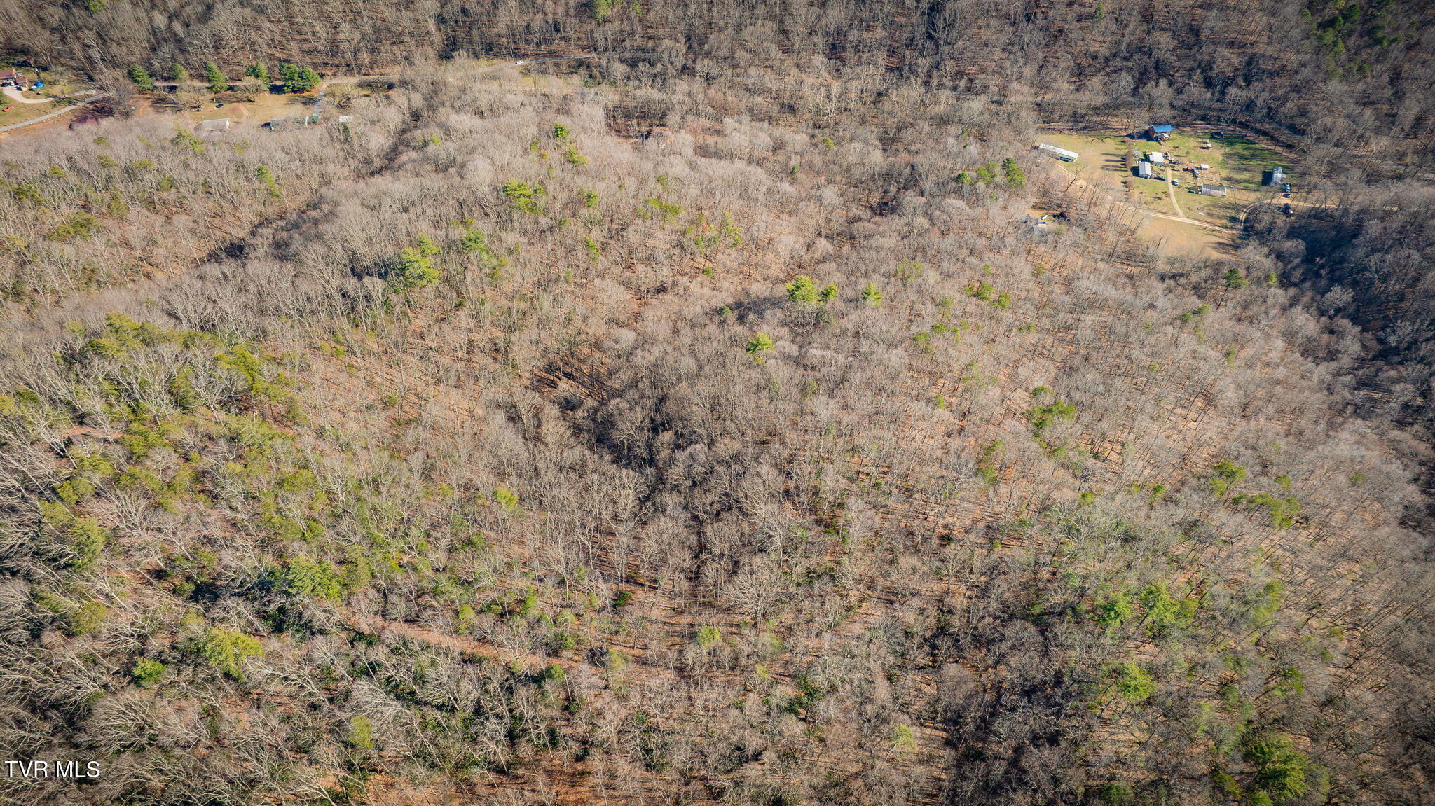 Tbd Long Creek Road, Unit 3 & 4 Del Rio, TN 37727 - Photo 26 of 26 005
